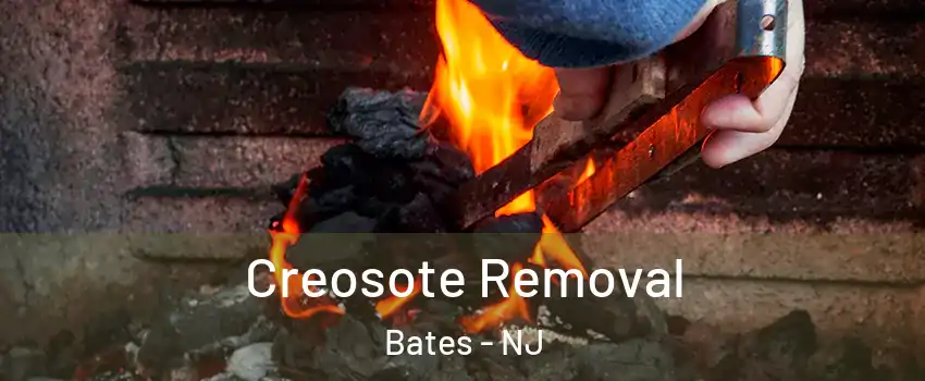 Creosote Removal Bates - NJ