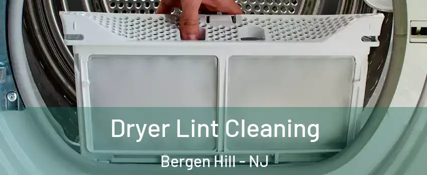 Dryer Lint Cleaning Bergen Hill - NJ