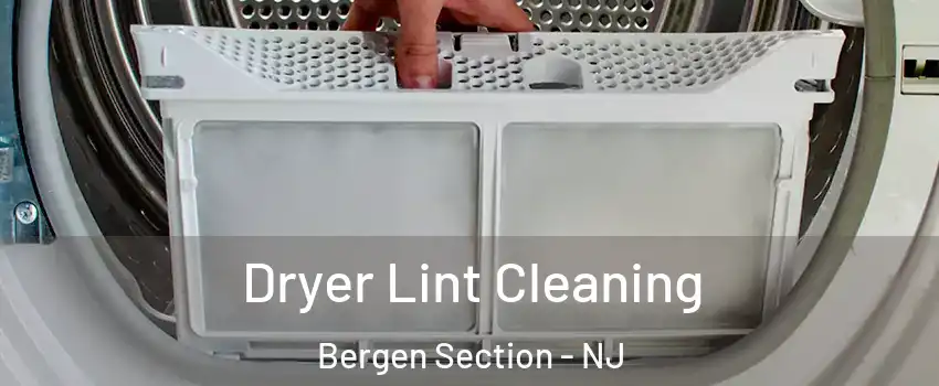 Dryer Lint Cleaning Bergen Section - NJ