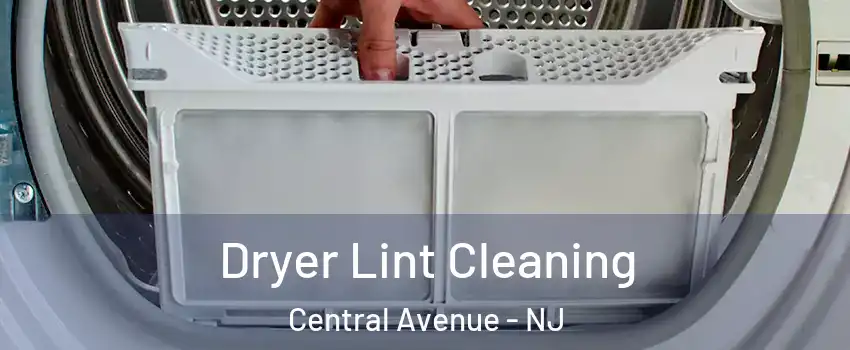 Dryer Lint Cleaning Central Avenue - NJ