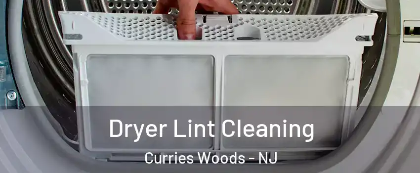 Dryer Lint Cleaning Curries Woods - NJ