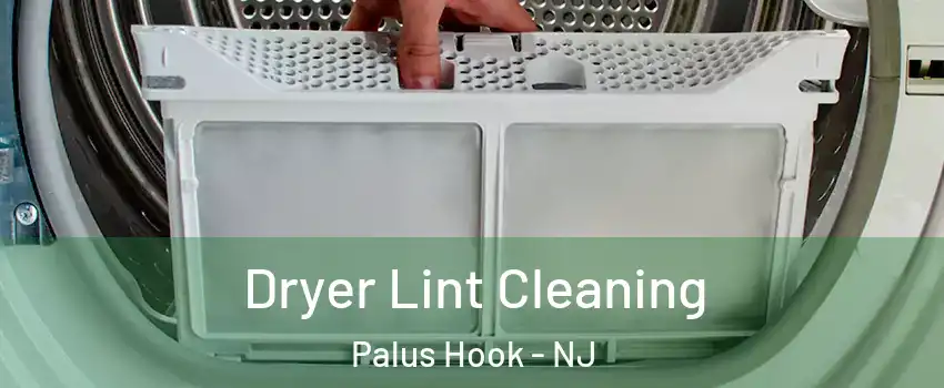 Dryer Lint Cleaning Palus Hook - NJ