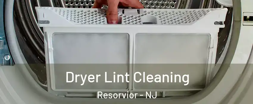 Dryer Lint Cleaning Resorvior - NJ