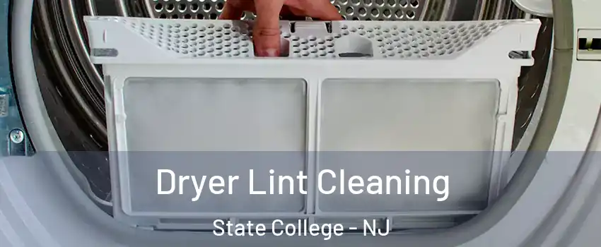 Dryer Lint Cleaning State College - NJ