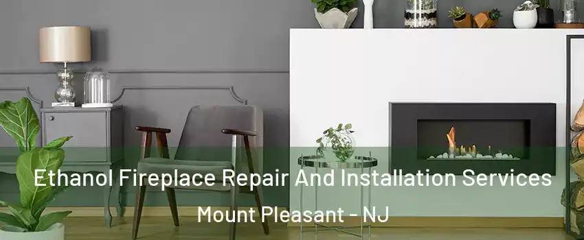 Ethanol Fireplace Repair And Installation Services Mount Pleasant - NJ