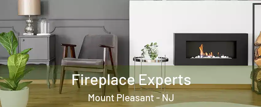 Fireplace Experts Mount Pleasant - NJ