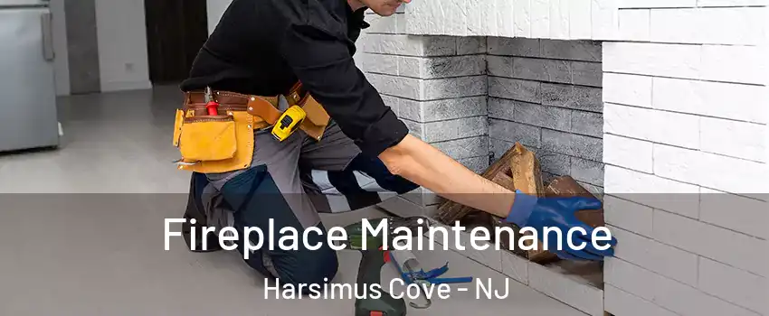 Fireplace Maintenance Harsimus Cove - NJ