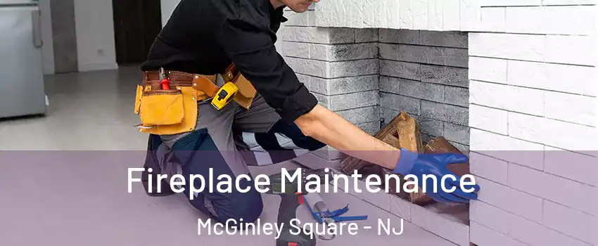 Fireplace Maintenance McGinley Square - NJ