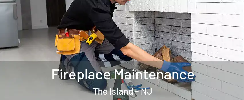 Fireplace Maintenance The Island - NJ