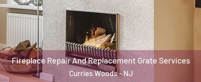 Fireplace Repair And Replacement Grate Services Curries Woods - NJ