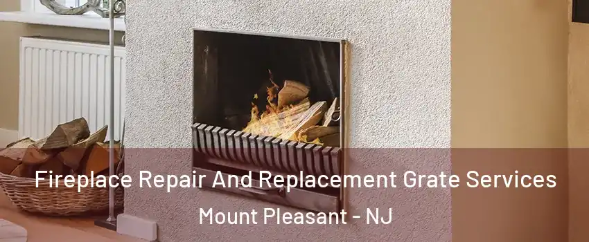 Fireplace Repair And Replacement Grate Services Mount Pleasant - NJ