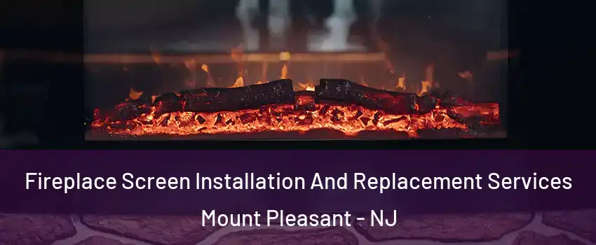 Fireplace Screen Installation And Replacement Services Mount Pleasant - NJ