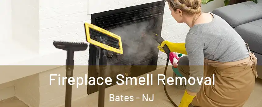 Fireplace Smell Removal Bates - NJ