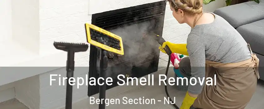 Fireplace Smell Removal Bergen Section - NJ