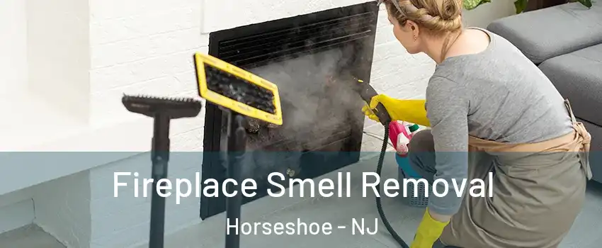 Fireplace Smell Removal Horseshoe - NJ