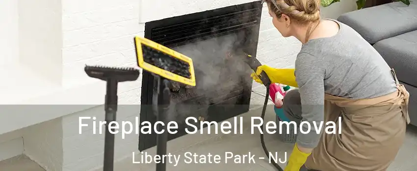 Fireplace Smell Removal Liberty State Park - NJ