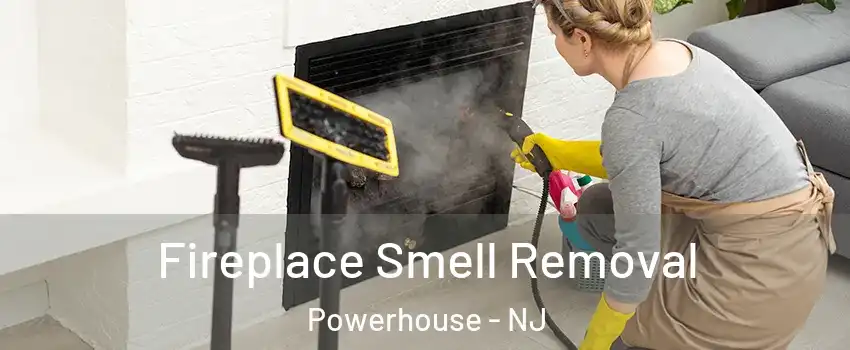 Fireplace Smell Removal Powerhouse - NJ