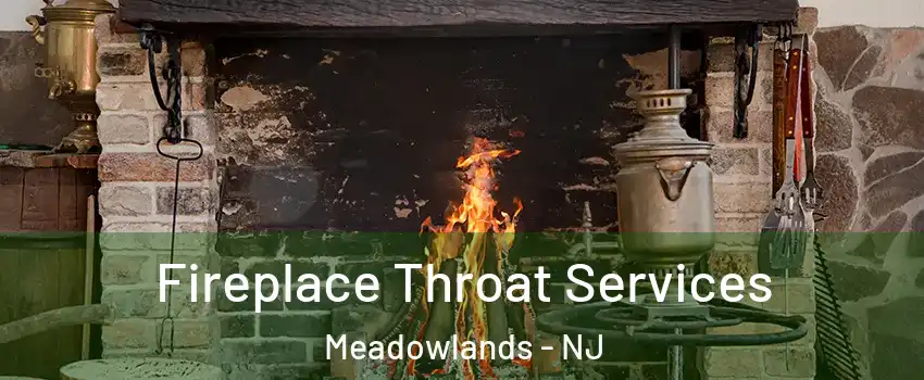 Fireplace Throat Services Meadowlands - NJ