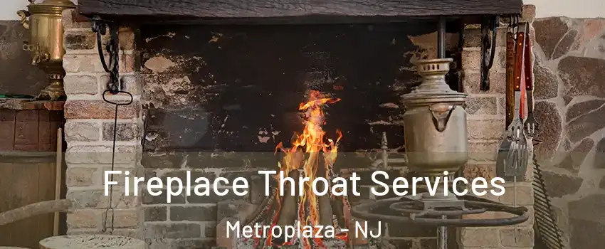 Fireplace Throat Services Metroplaza - NJ