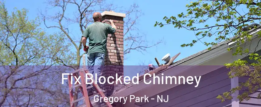 Fix Blocked Chimney Gregory Park - NJ