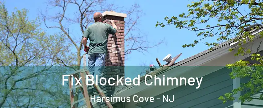 Fix Blocked Chimney Harsimus Cove - NJ