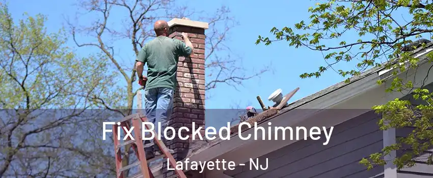 Fix Blocked Chimney Lafayette - NJ