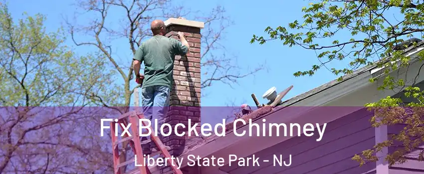 Fix Blocked Chimney Liberty State Park - NJ