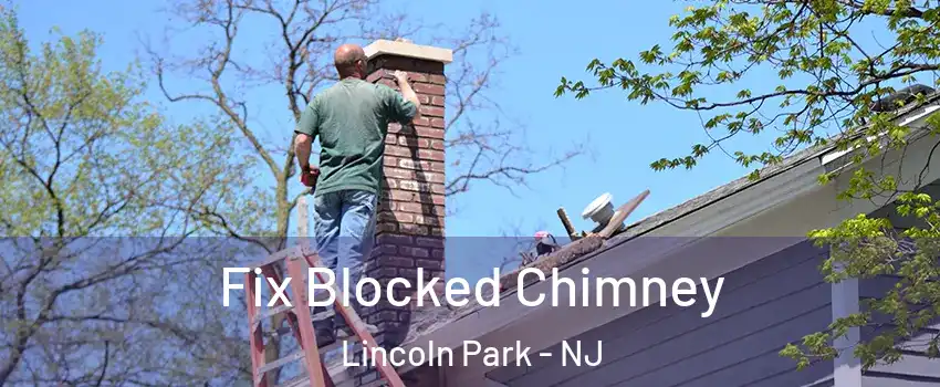 Fix Blocked Chimney Lincoln Park - NJ