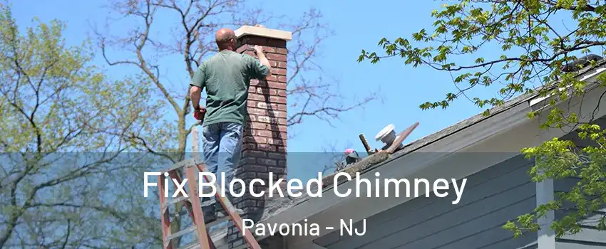 Fix Blocked Chimney Pavonia - NJ