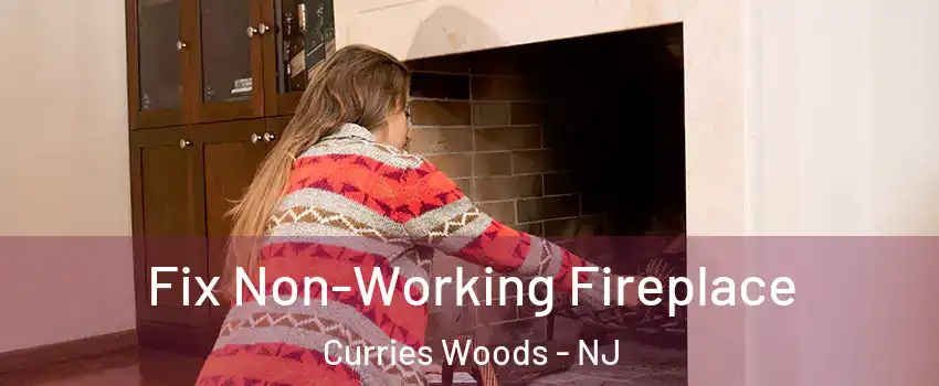 Fix Non-Working Fireplace Curries Woods - NJ