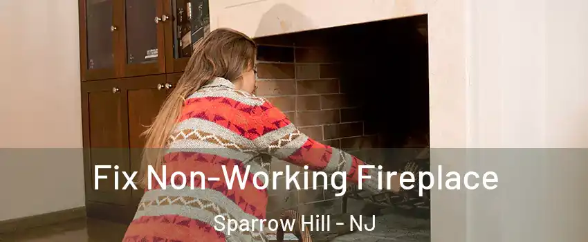 Fix Non-Working Fireplace Sparrow Hill - NJ