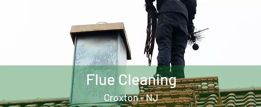 Flue Cleaning Croxton - NJ