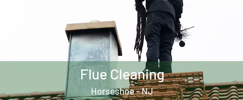 Flue Cleaning Horseshoe - NJ