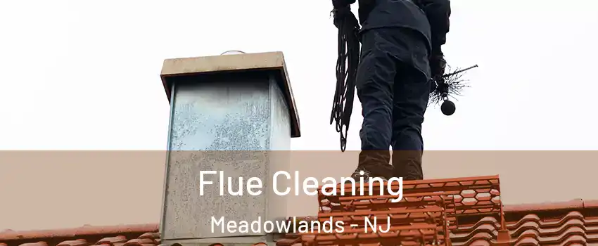 Flue Cleaning Meadowlands - NJ