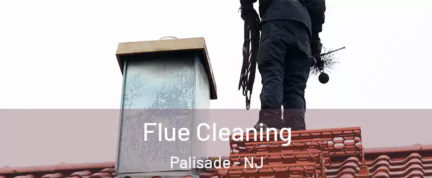 Flue Cleaning Palisade - NJ