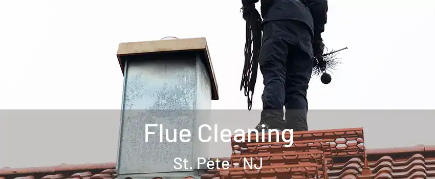 Flue Cleaning St. Pete - NJ