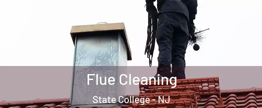 Flue Cleaning State College - NJ