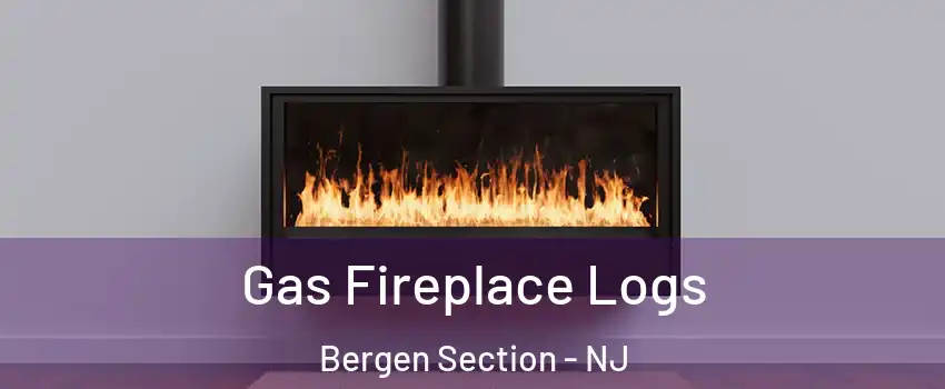 Gas Fireplace Logs Bergen Section - NJ