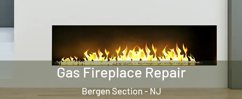 Gas Fireplace Repair Bergen Section - NJ