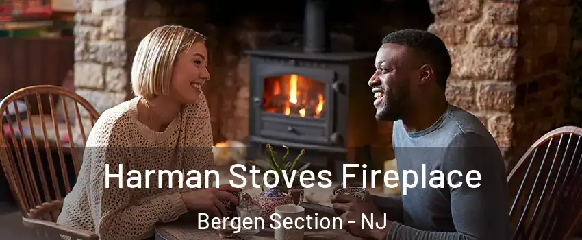 Harman Stoves Fireplace Bergen Section - NJ