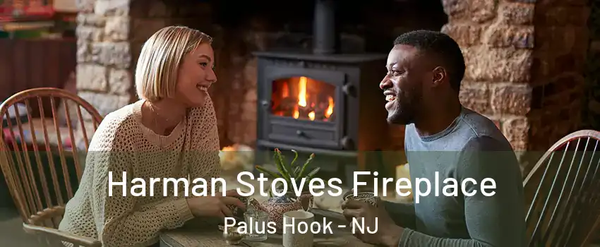 Harman Stoves Fireplace Palus Hook - NJ