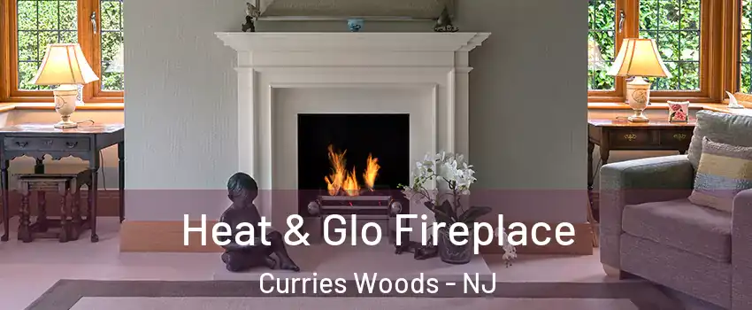 Heat & Glo Fireplace Curries Woods - NJ