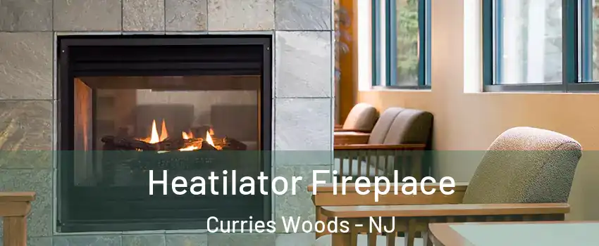 Heatilator Fireplace Curries Woods - NJ