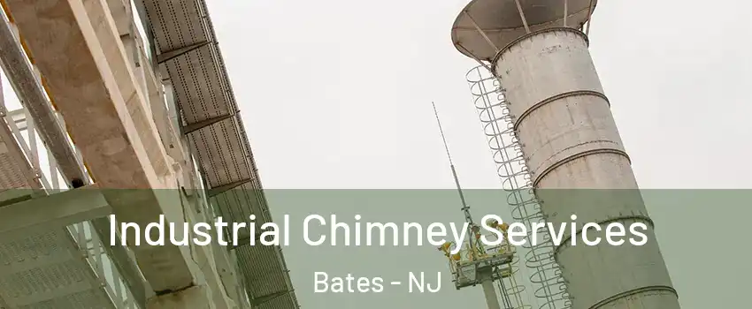 Industrial Chimney Services Bates - NJ