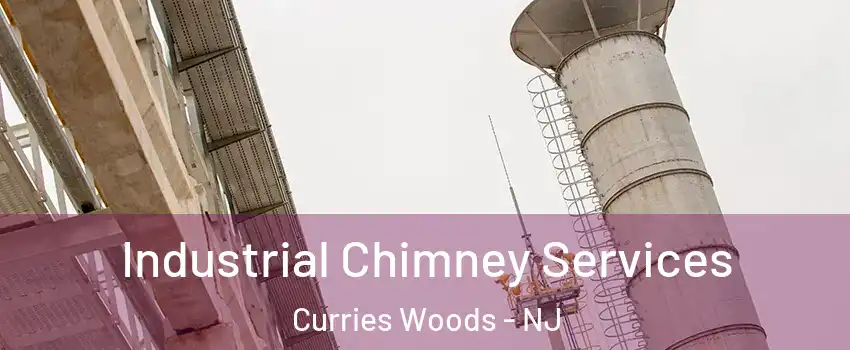 Industrial Chimney Services Curries Woods - NJ