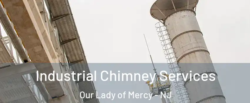 Industrial Chimney Services Our Lady of Mercy - NJ