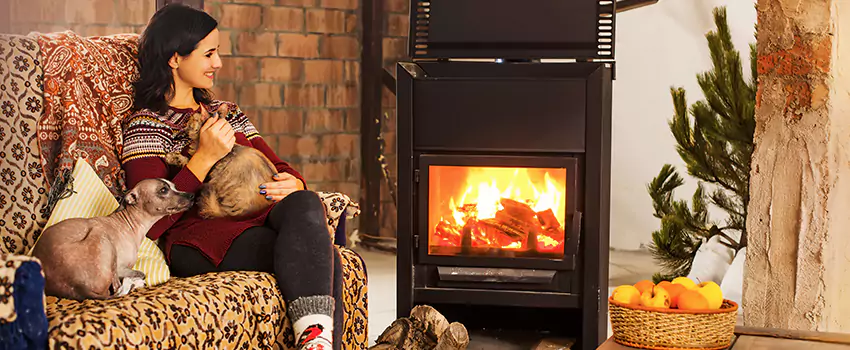 Wood Stove Chimney Cleaning Services in Powerhouse, NJ