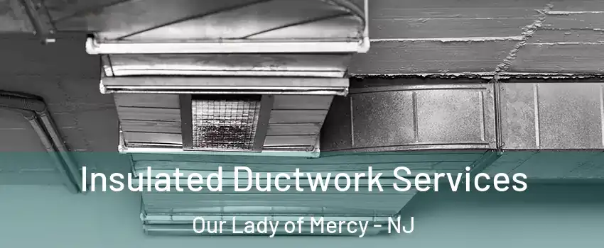 Insulated Ductwork Services Our Lady of Mercy - NJ