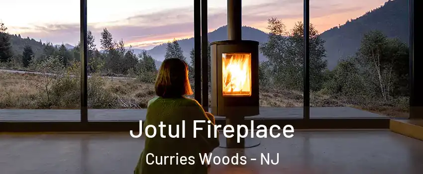 Jotul Fireplace Curries Woods - NJ