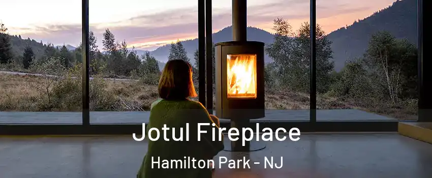 Jotul Fireplace Hamilton Park - NJ